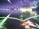 Filename : Image003.jpg
Filesize : 35KB
Dimensions : 640x480
Date added : May 28, 2006 Image003.jpg