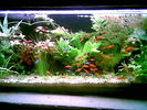 Filename : Image012.jpg
Filesize : 53KB
Dimensions : 640x480
Date added : May 28, 2006 Image012.jpg