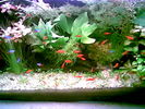 Filename : Image013.jpg
Filesize : 54KB
Dimensions : 640x480
Date added : May 28, 2006 Image013.jpg