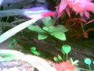Filename : Image014.jpg
Filesize : 25KB
Dimensions : 640x480
Date added : May 28, 2006 Image014.jpg