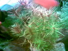 Filename : Image016.jpg
Filesize : 34KB
Dimensions : 640x480
Date added : May 28, 2006 Image016.jpg