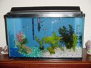 Filename : overview.jpg
Filesize : 405KB
Dimensions : 1600x1200
Date added : Apr 05, 2006 overview.jpg