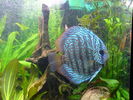 DSC01051.JPG