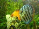 DSC01074.JPG