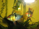 Picture 025.jpg