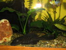 Picture 027.jpg