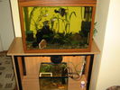 Picture 029.jpg