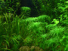 Filename : 1~0.jpg
Filesize : 843KB
Dimensions : 1024x768
Date added : Apr 07, 2008 1~0.jpg