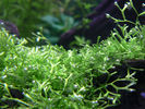 Filename : 1.jpg
Filesize : 755KB
Dimensions : 1024x768
Date added : Feb 03, 2008 1.jpg