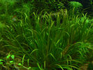 Filename : 2~0.jpg
Filesize : 914KB
Dimensions : 1024x768
Date added : Apr 07, 2008 2~0.jpg