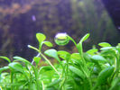 Filename : 2.jpg
Filesize : 694KB
Dimensions : 1024x768
Date added : Feb 03, 2008 2.jpg
