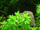 Filename : 4.jpg
Filesize : 588KB
Dimensions : 1024x768
Date added : Apr 07, 2008 4.jpg