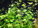 DSC00779.JPG