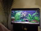 DSC00887.JPG