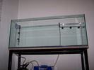 Filename : 100_2259kics..jpg
Filesize : 112KB
Dimensions : 860x646
Date added : Nov 13, 2008 100_2259kics..jpg