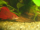 Picture 022.jpg