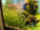 Filename : DSC01390.JPG
Filesize : 239KB
Dimensions : 800x600
Date added : Feb 17, 2008 DSC01390.JPG