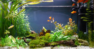 Filename : PIC812735~0.jpg
Filesize : 175KB
Dimensions : 1024x534
Date added : Mar 18, 2009 PIC812735~0.jpg