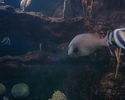 Filename : PHTO0105~0.jpg
Filesize : 394KB
Dimensions : 1280x1024
Date added : May 09, 2008 PHTO0105~0.jpg