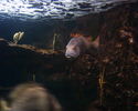 Filename : PHTO0110.JPG
Filesize : 333KB
Dimensions : 1280x1024
Date added : May 09, 2008 PHTO0110.JPG