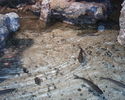 Filename : PHTO0120.JPG
Filesize : 337KB
Dimensions : 1280x1024
Date added : May 09, 2008 PHTO0120.JPG