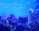 Filename : PHTO0124.JPG
Filesize : 335KB
Dimensions : 1280x1024
Date added : May 09, 2008 PHTO0124.JPG