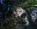 Filename : PHTO0125.jpg
Filesize : 356KB
Dimensions : 1280x1024
Date added : May 09, 2008 PHTO0125.jpg