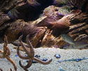 Filename : PHTO0131.JPG
Filesize : 337KB
Dimensions : 1280x1024
Date added : May 09, 2008 PHTO0131.JPG