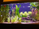 Filename : z003.jpg
Filesize : 986KB
Dimensions : 1100x825
Date added : Mar 01, 2008 z003.jpg