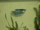 DSCN3072.JPG