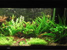 Filename : Bazin 400l dupa invazia algelor 2.JPG
Filesize : 189KB
Dimensions : 1126x845
Date added : Jan 22, 2009 Bazin 400l dupa invazia algelor 2.JPG