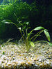 Planta-012.jpg