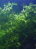 Planta-032.jpg