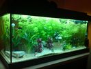 Filename : 2.jpg
Filesize : 203KB
Dimensions : 1024x768
Date added : Dec 03, 2008 2.jpg