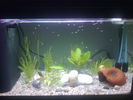Filename : Imagine234.jpg
Filesize : 526KB
Dimensions : 2048x1536
Date added : Mar 06, 2009 Imagine234.jpg