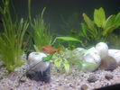 Filename : Imagine235.jpg
Filesize : 593KB
Dimensions : 2048x1536
Date added : Mar 06, 2009 Imagine235.jpg