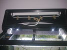 Filename : Imagine241.jpg
Filesize : 493KB
Dimensions : 2048x1536
Date added : Mar 06, 2009 Imagine241.jpg