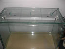 Filename : acvariu100Lpic3.jpg
Filesize : 60KB
Dimensions : 800x600
Date added : Feb 07, 2009 acvariu100Lpic3.jpg