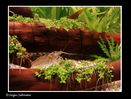 Filename : DSC09637.jpg
Filesize : 358KB
Dimensions : 740x561
Date added : Apr 11, 2009 DSC09637.jpg