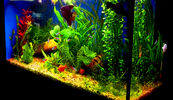 Filename : Untitled-3_800.jpg
Filesize : 483KB
Dimensions : 800x462
Date added : Mar 03, 2009 Untitled-3_800.jpg