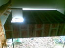 Filename : 12042009(005).jpg
Filesize : 200KB
Dimensions : 1152x864
Date added : Apr 12, 2009 12042009(005).jpg
