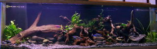 Filename : 8555tank1s.jpg
Filesize : 115KB
Dimensions : 500x156
Date added : Mar 26, 2009 8555tank1s.jpg