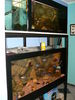 Filename : Tanksstructure28.jpg
Filesize : 269KB
Dimensions : 600x800
Date added : Apr 07, 2009 Tanksstructure28.jpg