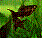 [Avatar]