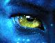 [Avatar]