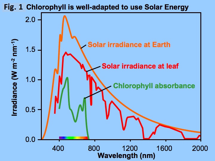 [Thumb - Fig 1 - Energia Solara.jpg]