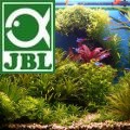 Web Content Image