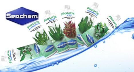 Seachem